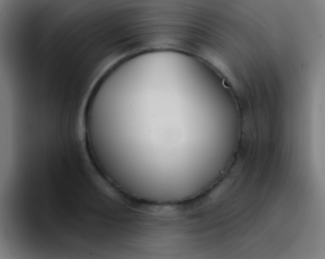 X0000094351082200711162025