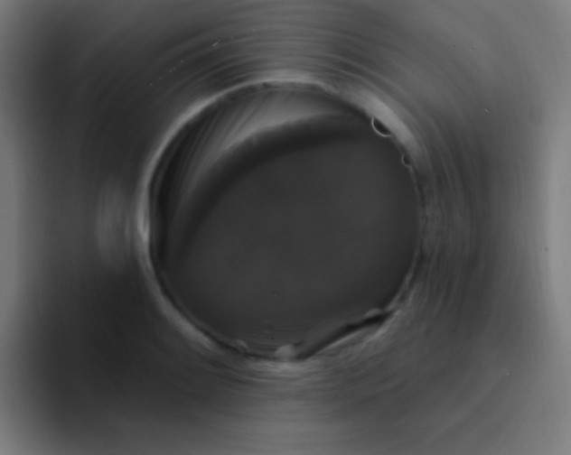 X0000094351084200711162025