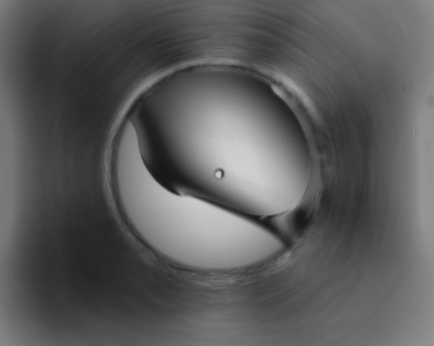 X0000094351085200711162025