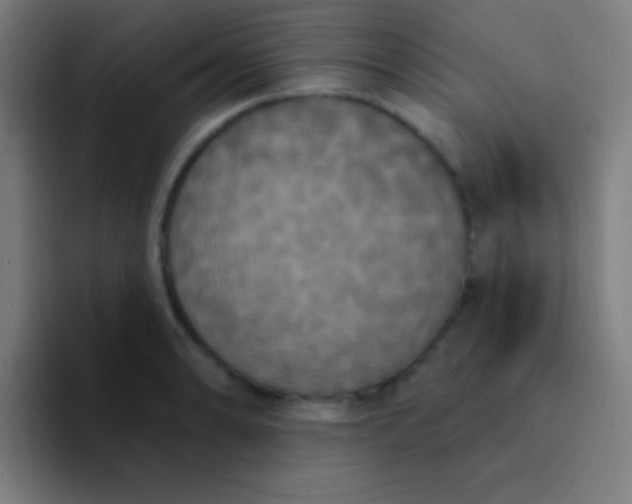 X0000094351086200711162025