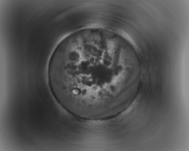 X0000094351087200711162025