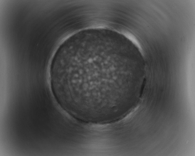 X0000094351088200711162025