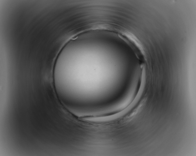 X0000094351089200711162025