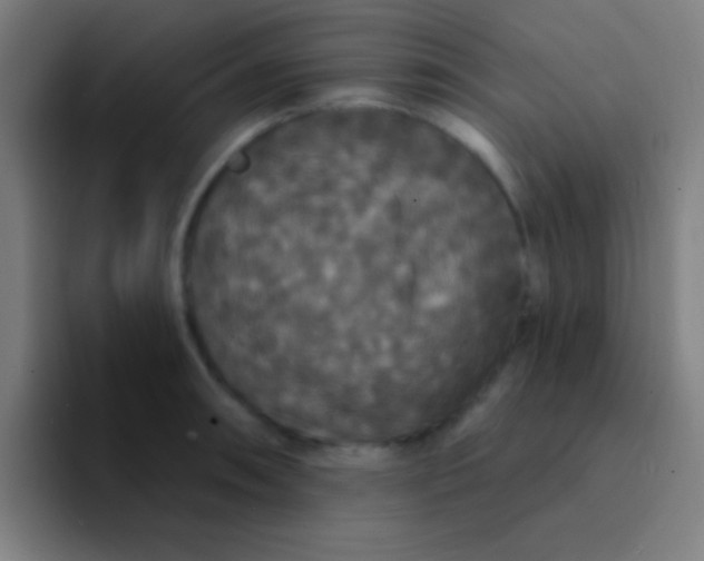 X0000094351090200711162025