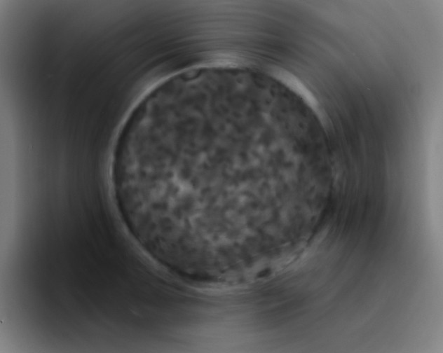 X0000094351091200711162025