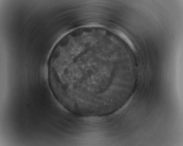 X0000094351092200711162025