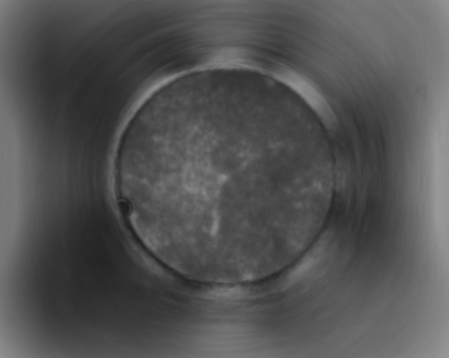 X0000094351094200711162025