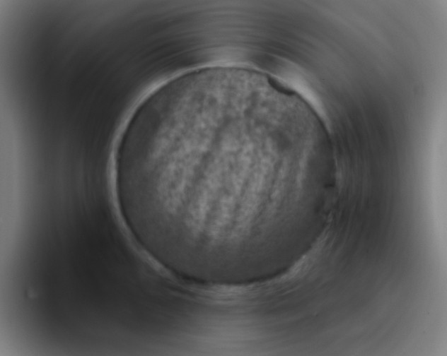 X0000094351096200711162025