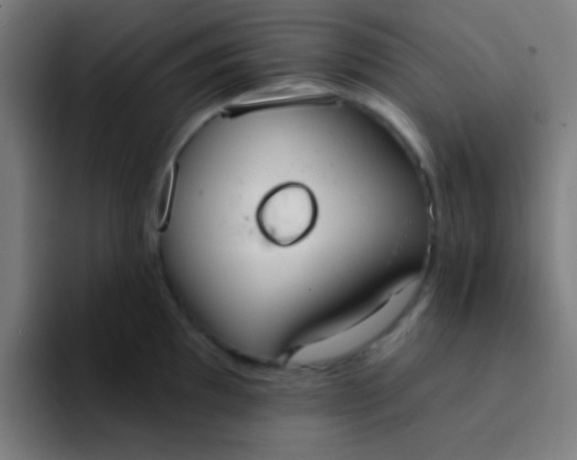 X0000094351097200711162025