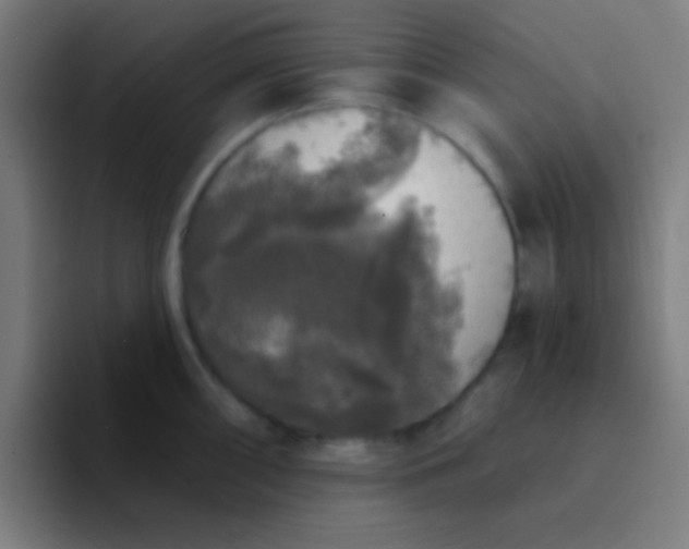 X0000094351098200711162025