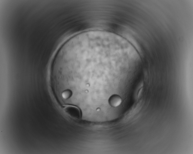 X0000094351099200711162025