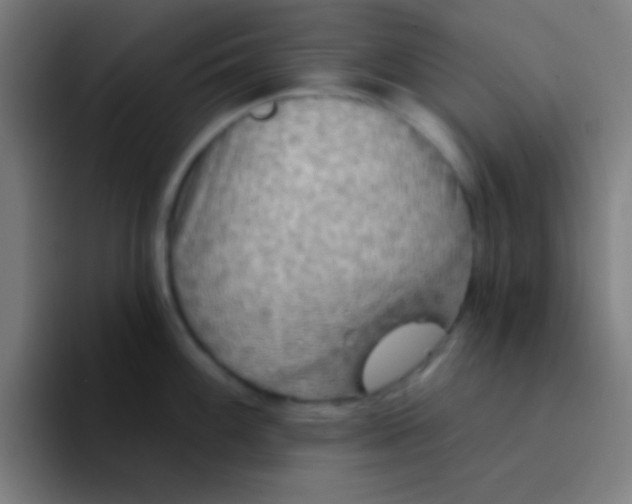 X0000094351100200711162025