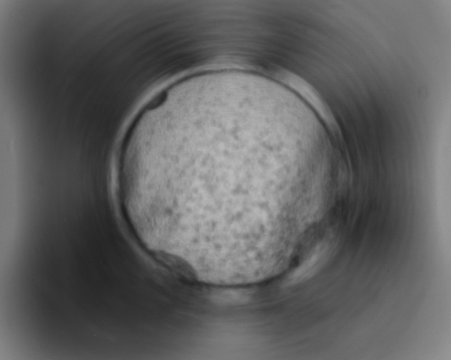 X0000094351101200711162025