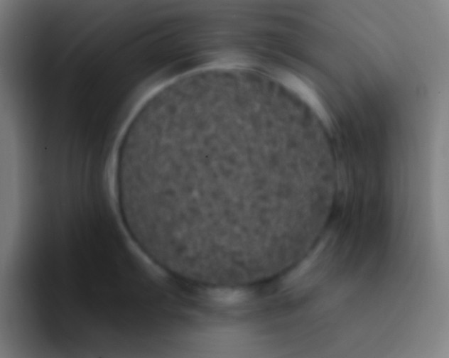 X0000094351103200711162025