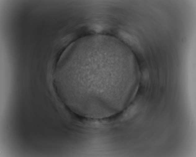 X0000094351105200711162024