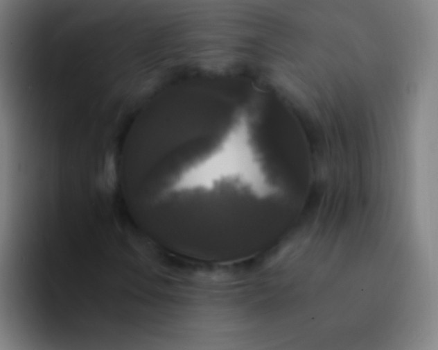 X0000094351106200711162024