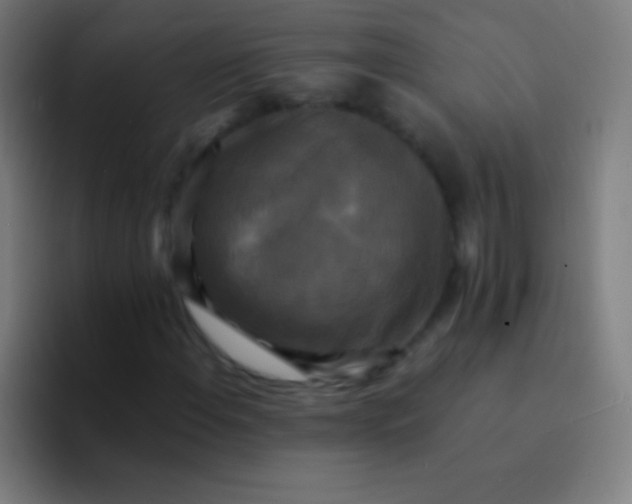 X0000094351108200711162024