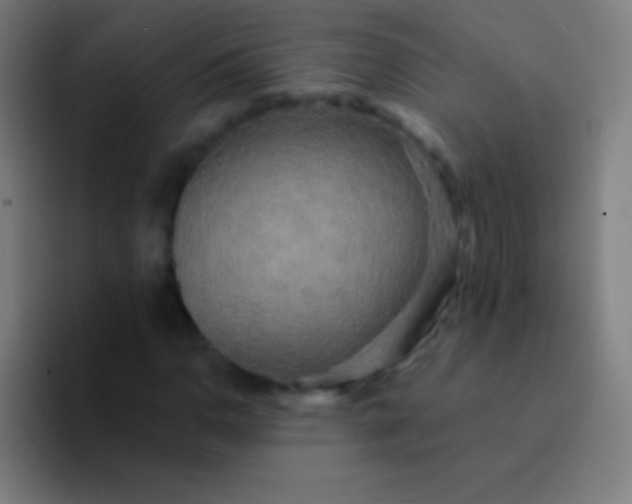 X0000094351110200711162024