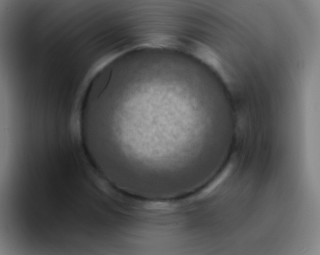 X0000094351114200711162024