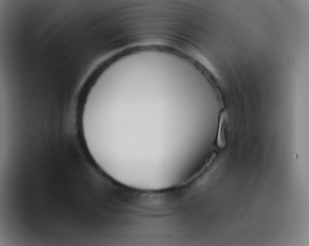 X0000094351116200711162024