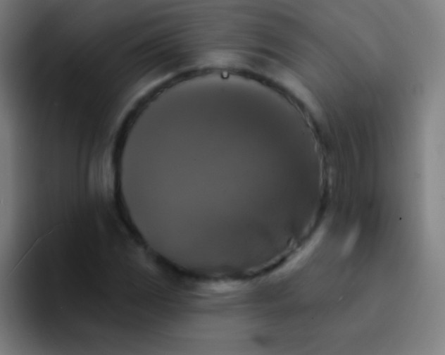 X0000094351117200711162024