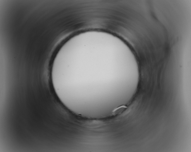 X0000094351119200711162024