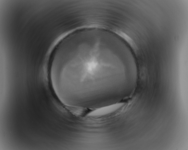 X0000094351120200711162024