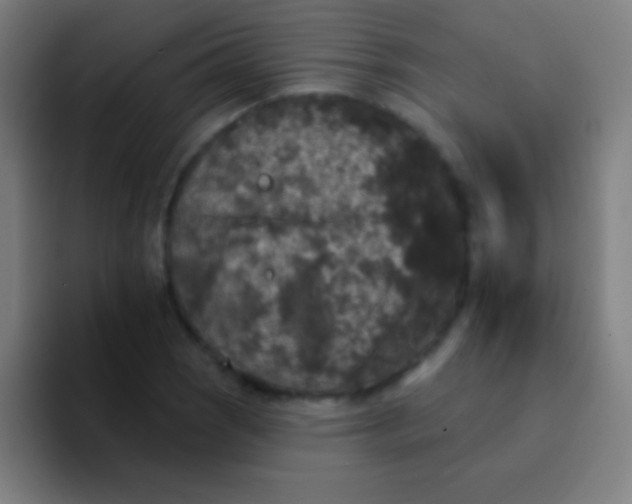 X0000094351121200711162024