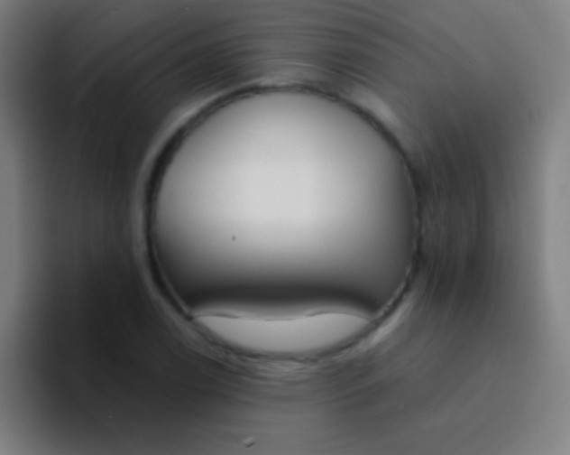 X0000094351122200711162024