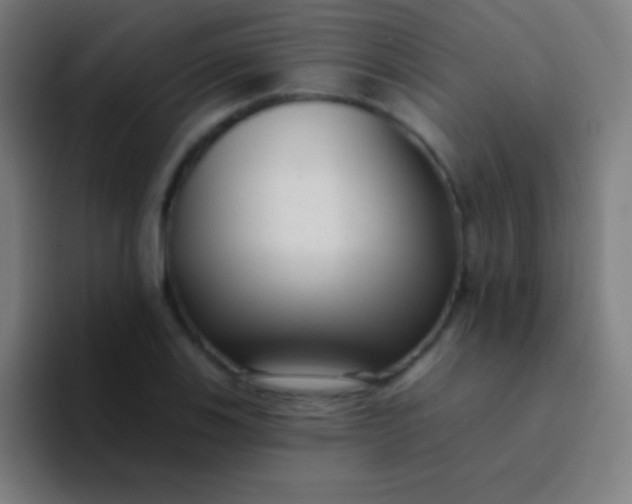 X0000094351123200711162024