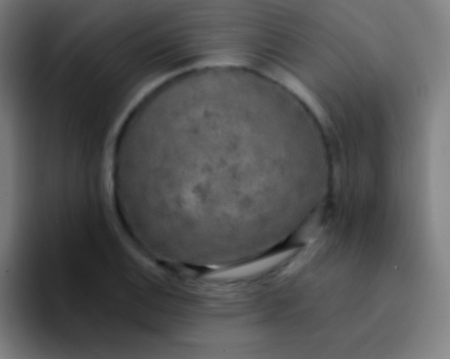 X0000094351124200711162024