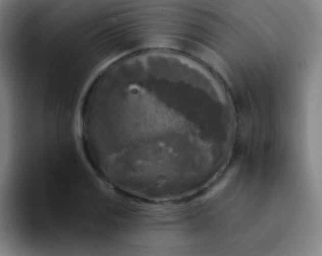 X0000094351125200711162024