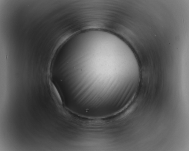 X0000094351129200711162024