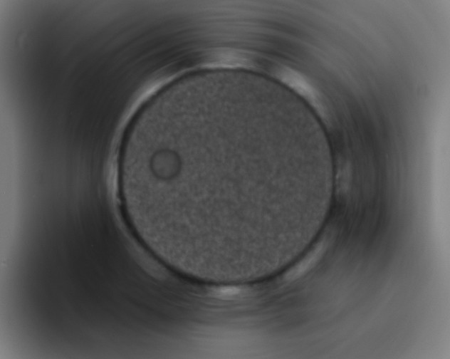 X0000094351130200711162024