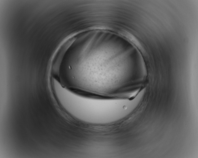 X0000094351132200711162024