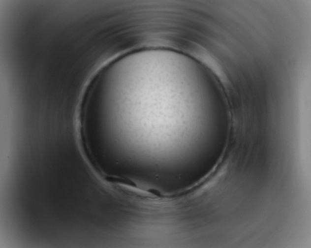 X0000094351133200711162024