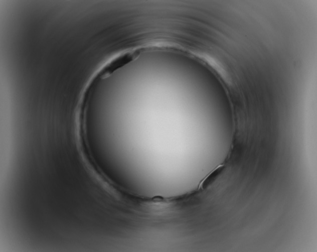 X0000094351134200711162024