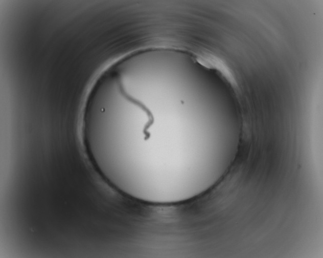 X0000094351136200711162024