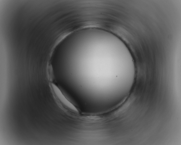 X0000094351137200711162024