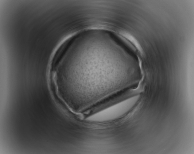 X0000094351138200711162024