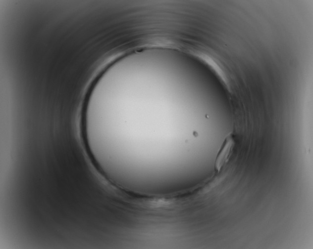 X0000094351139200711162025