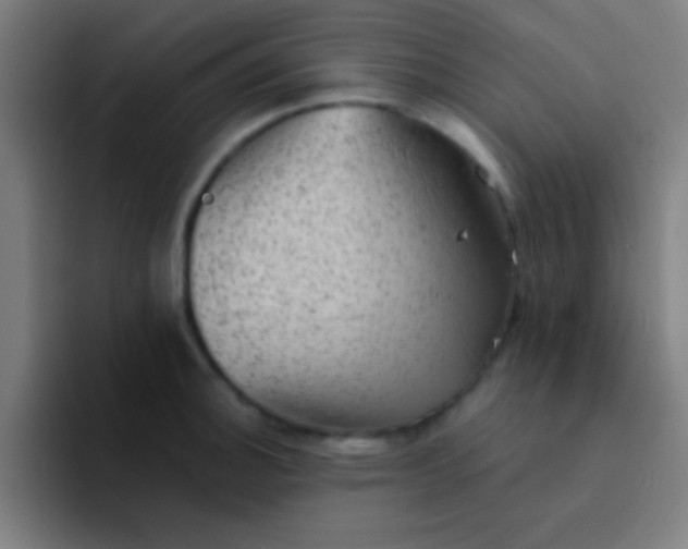 X0000094351140200711162025