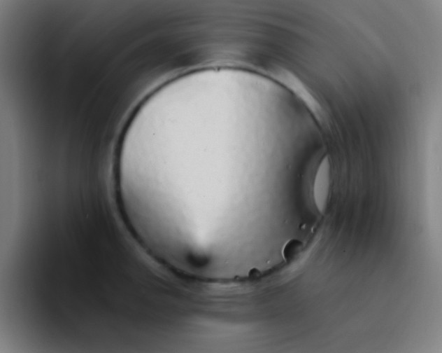 X0000094351142200711162025