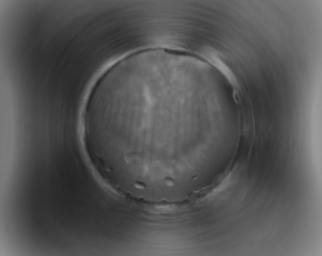 X0000094351144200711162025