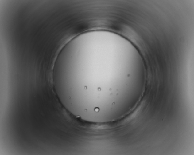 X0000094351145200711162025