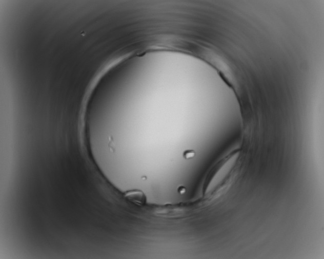 X0000094351146200711162025