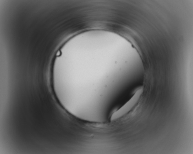 X0000094351147200711162025