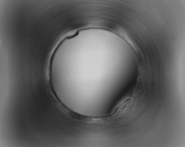 X0000094351148200711162025