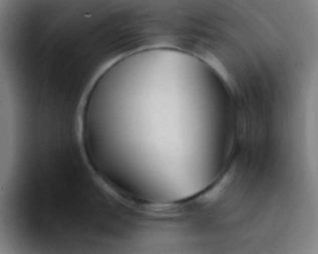 X0000094351151200711162025