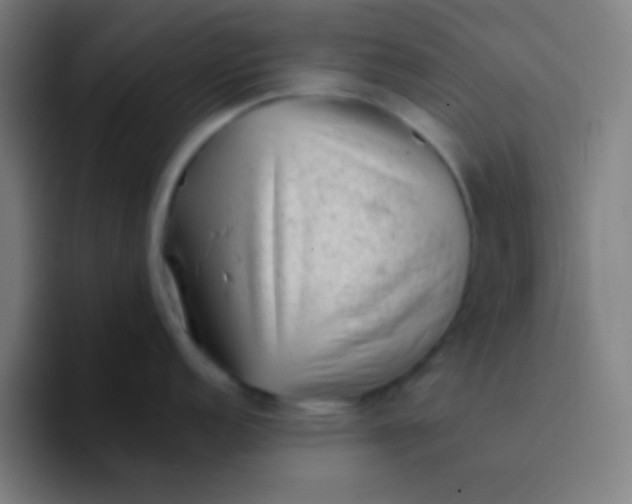 X0000094351152200711162025